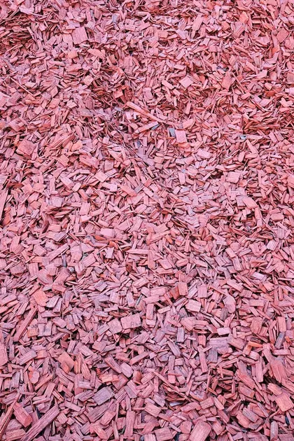 Red wood chips used for garden beds and borders at the Bundoora yard